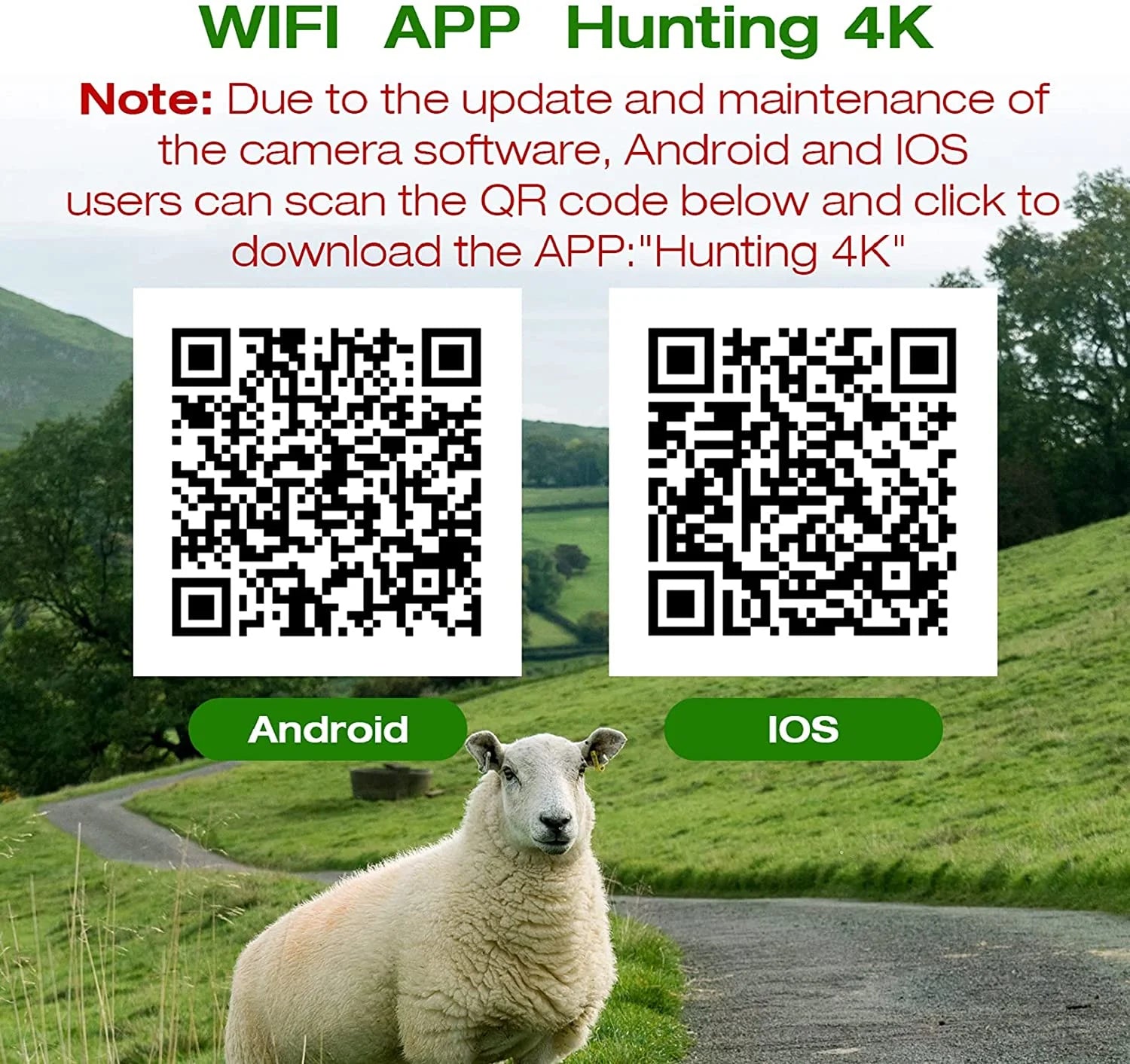 ee8af3c5f305aac685ecbb595e9c3b7f977de5d0d3518bd34de6ccecd1add002